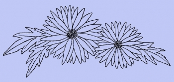 Zwei Blumen